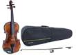 Violin Allegro-VL1 4/4 SC Carbon Bow